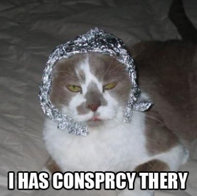 Tin Foil Hat For Cats